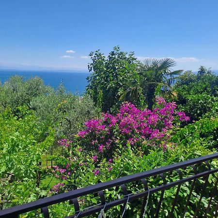 Apartment Camelia Opatija Luaran gambar